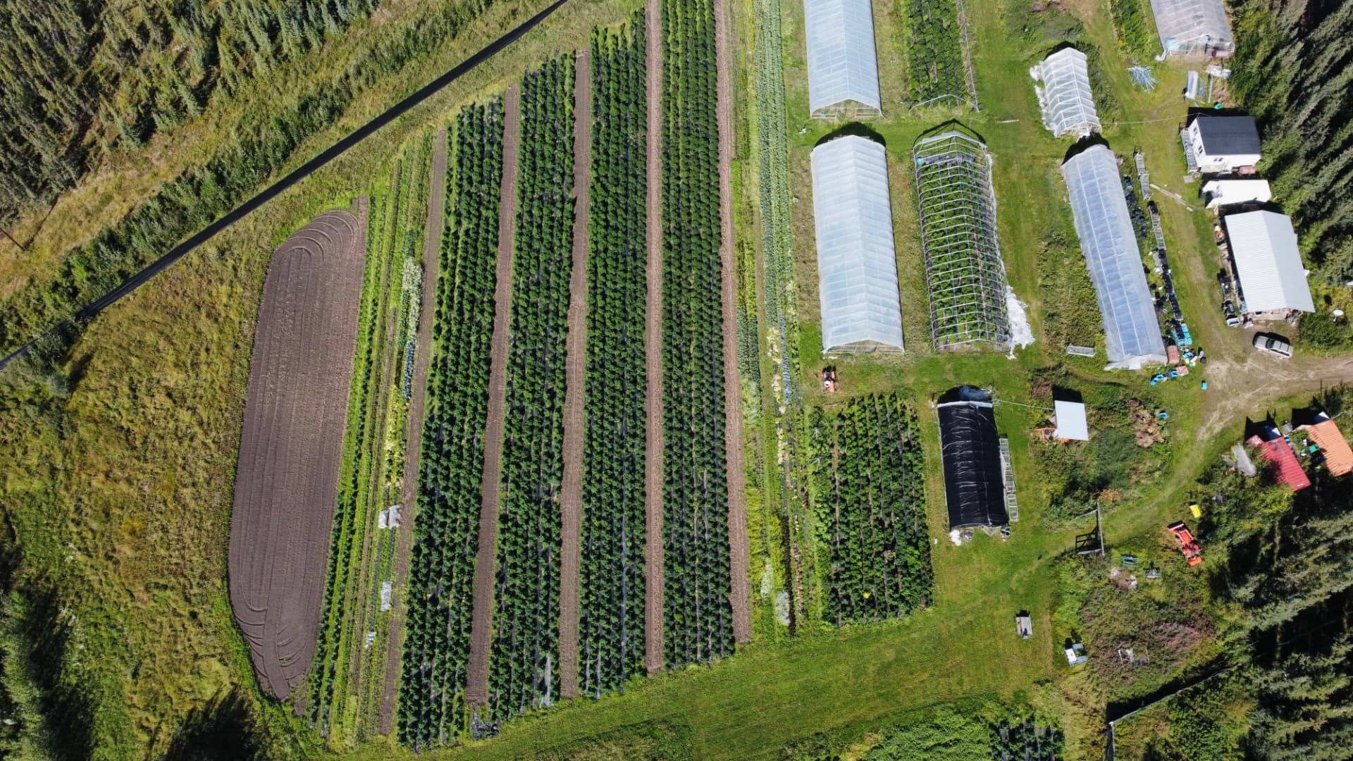 Aerial view of Rosie Creek Farm rows and greenhouses
