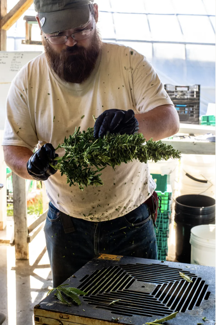 Harvest by hand