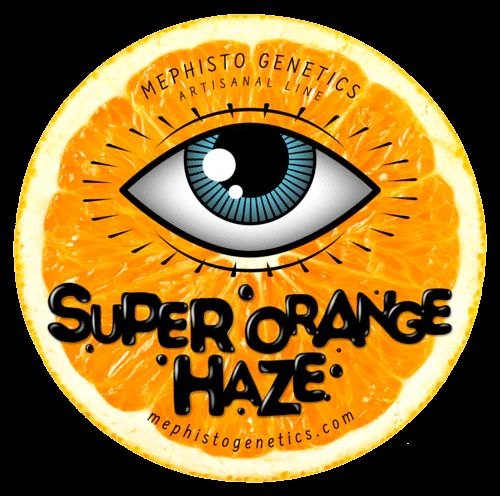 Sour Orange Haze label art